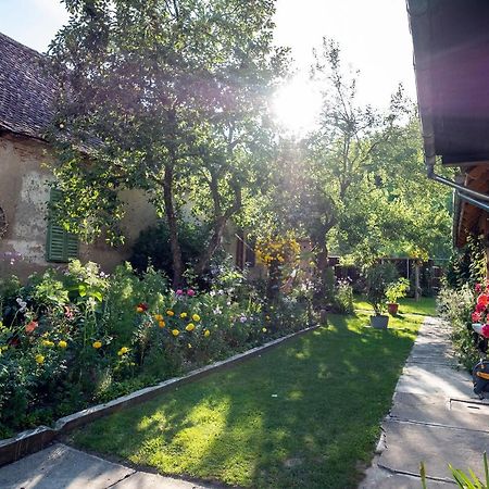 Villa Rihuini Eco Wine House Transylvania Richisu 외부 사진