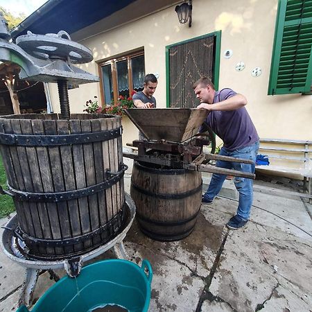 Villa Rihuini Eco Wine House Transylvania Richisu 외부 사진