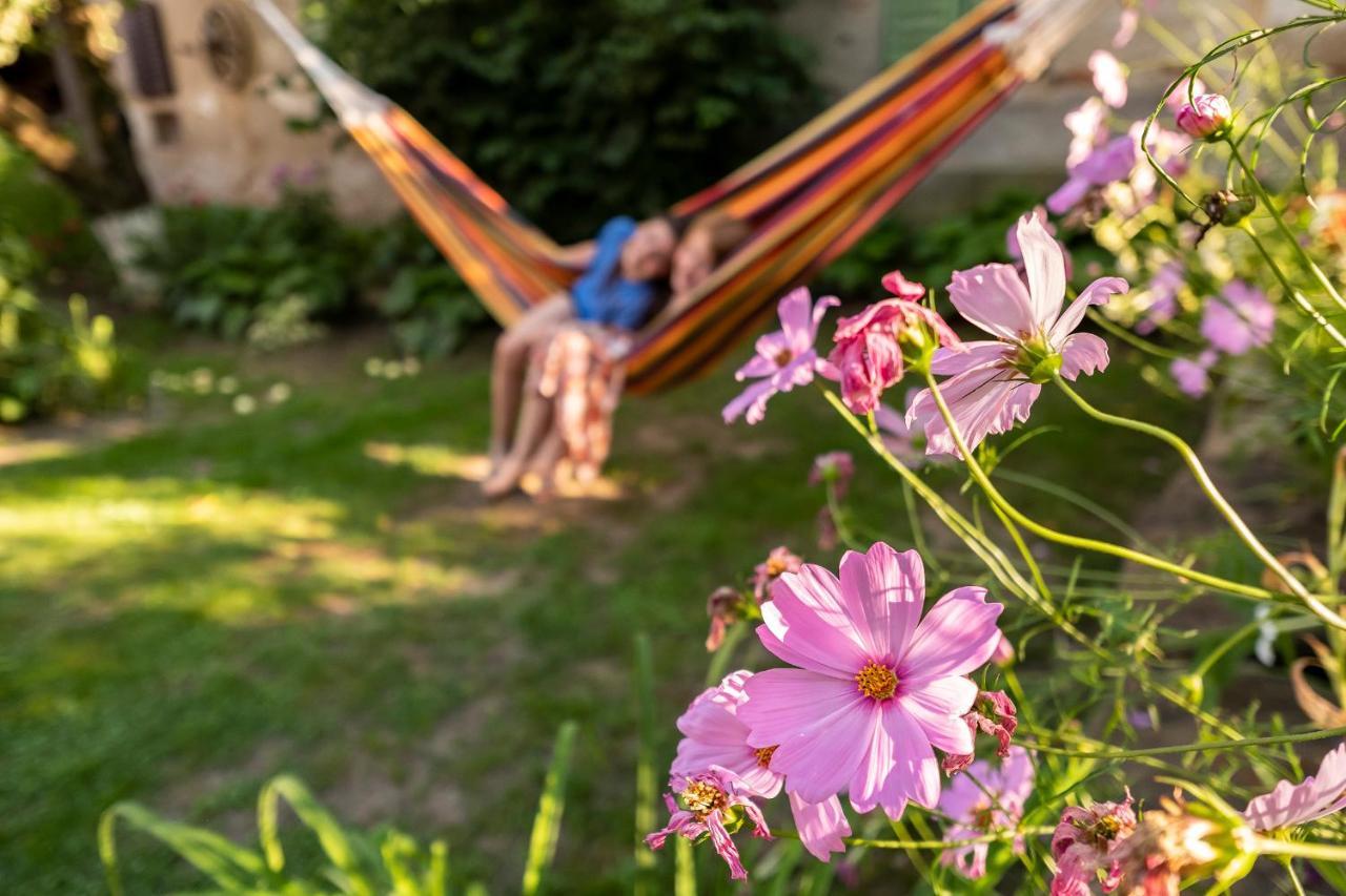 Villa Rihuini Eco Wine House Transylvania Richisu 외부 사진
