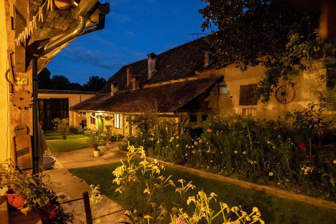 Villa Rihuini Eco Wine House Transylvania Richisu 외부 사진