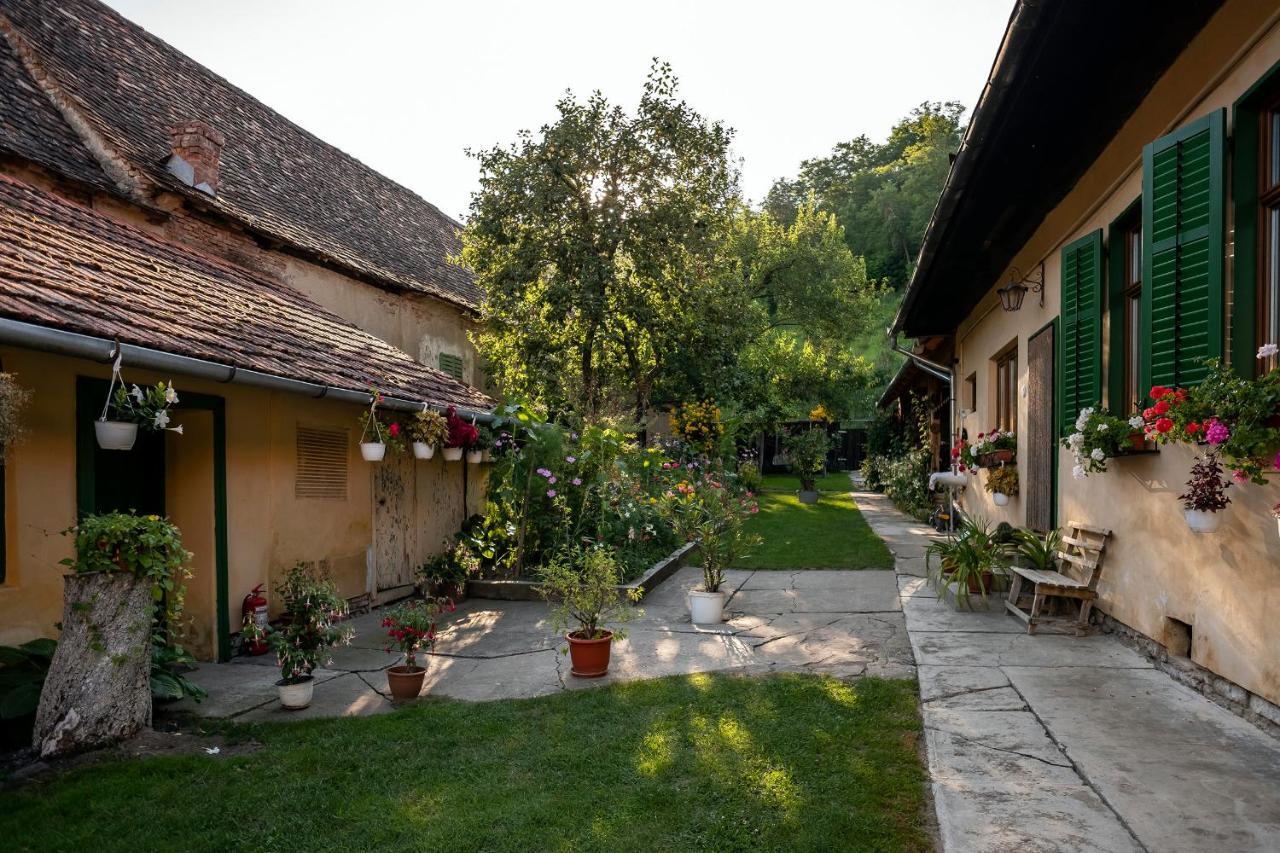 Villa Rihuini Eco Wine House Transylvania Richisu 외부 사진