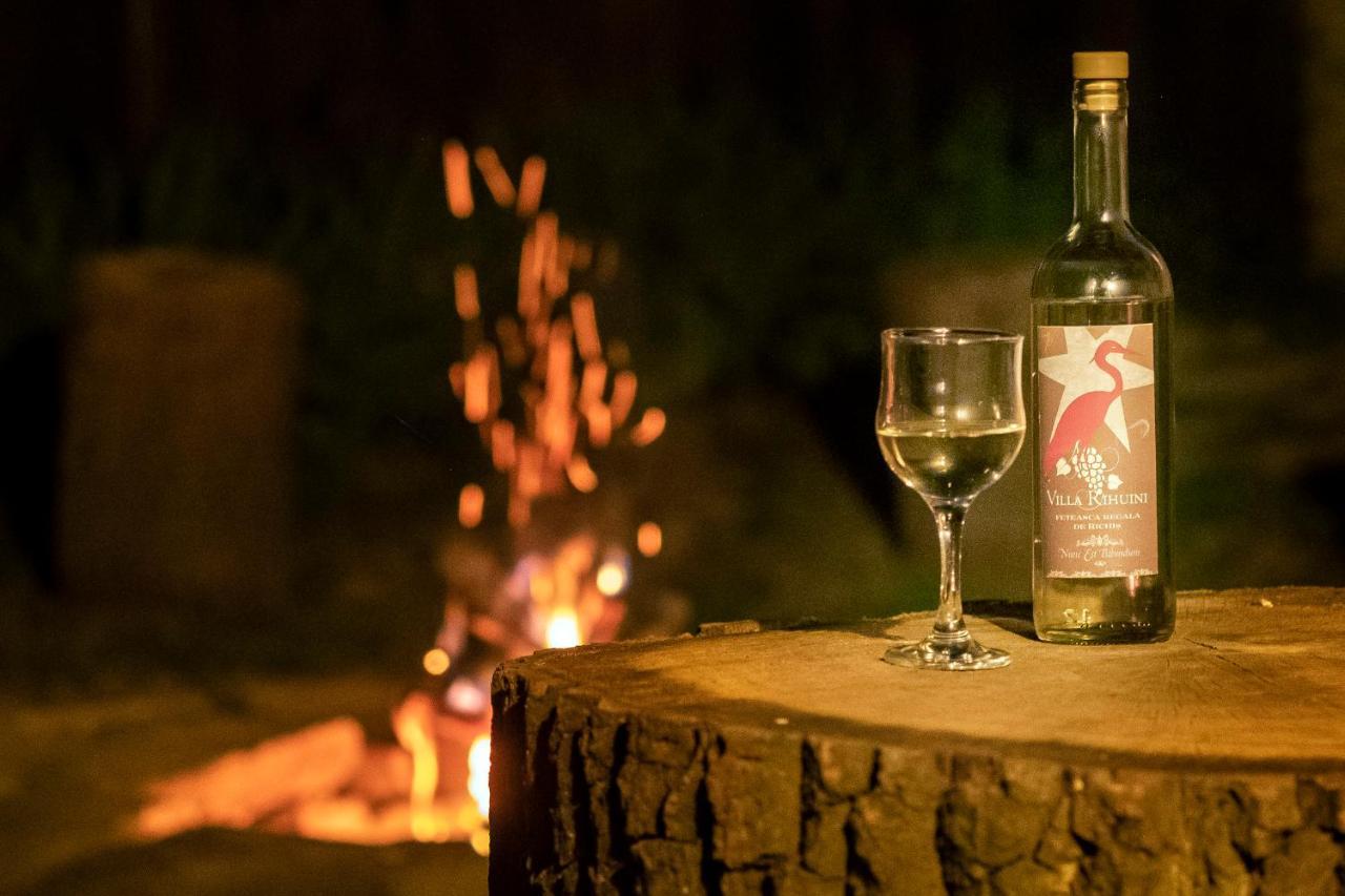 Villa Rihuini Eco Wine House Transylvania Richisu 외부 사진
