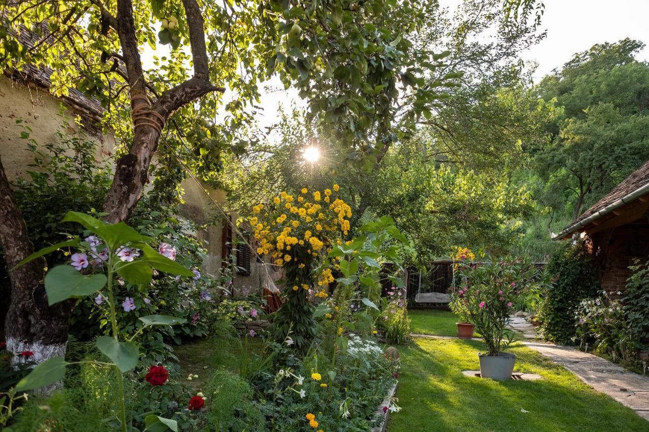Villa Rihuini Eco Wine House Transylvania Richisu 외부 사진