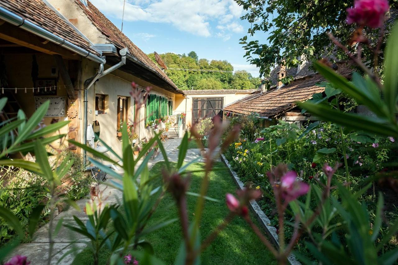 Villa Rihuini Eco Wine House Transylvania Richisu 외부 사진