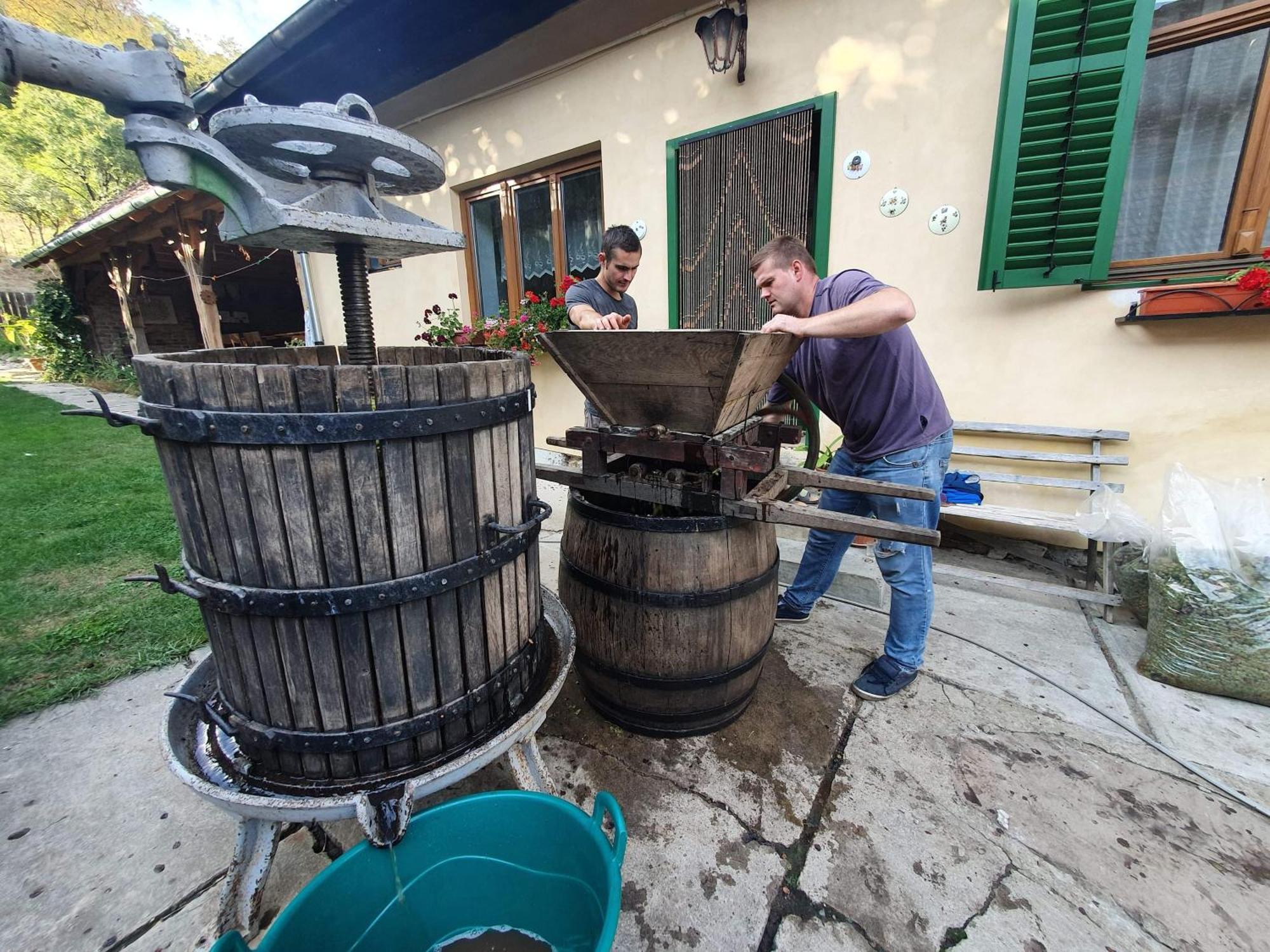 Villa Rihuini Eco Wine House Transylvania Richisu 외부 사진