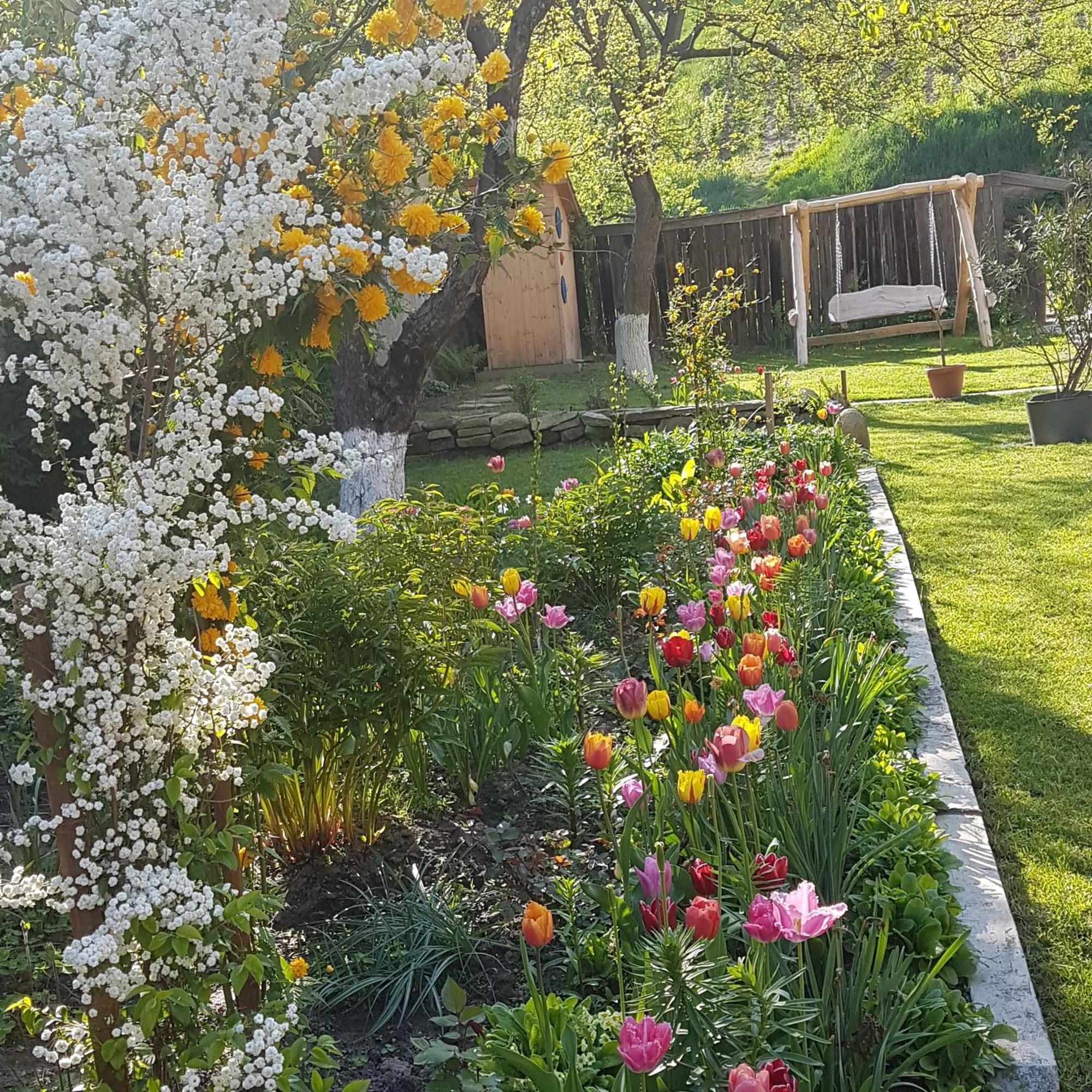 Villa Rihuini Eco Wine House Transylvania Richisu 외부 사진
